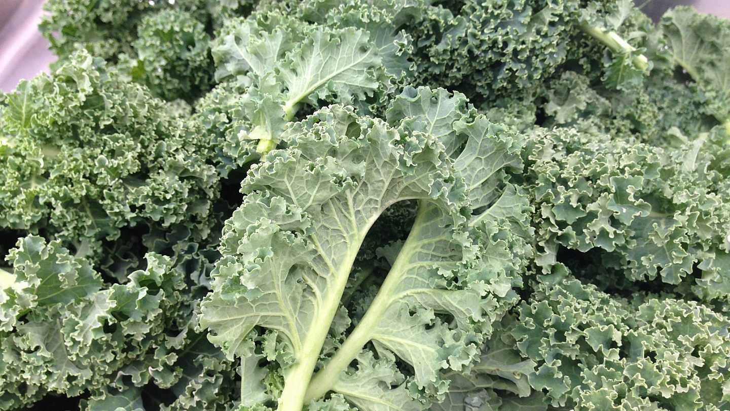 Curly Kale